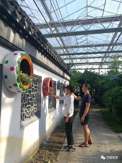 關(guān)于奇石文化園暫停開(kāi)放的最新通知