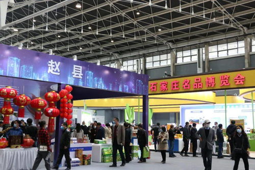 鑫慶余·石家莊名品博覽會 三千精品薈萃，共繪產業新圖景